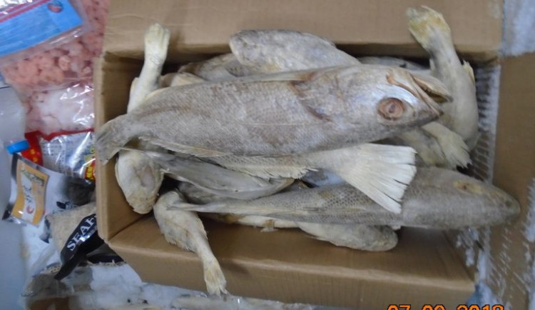 Veterina odhalila více než sto kilogramů ryb neznámého původu v pražské tržnici.