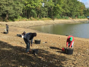 V Mrhalu jsou miliony škeblí.