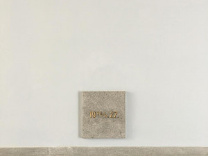 Největší sokolovna v Česku prošla rekonstrukcí. Dvoraně Stadionu se vrátila původní tvář.