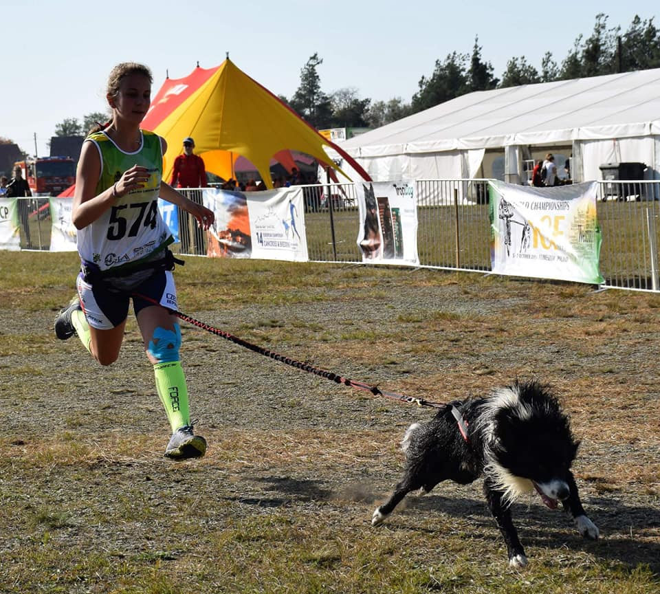 Snímek canicrossového závodu Mistrovství světa v Polsku