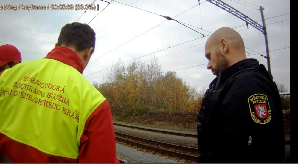 Zásah hradeckých strážníků