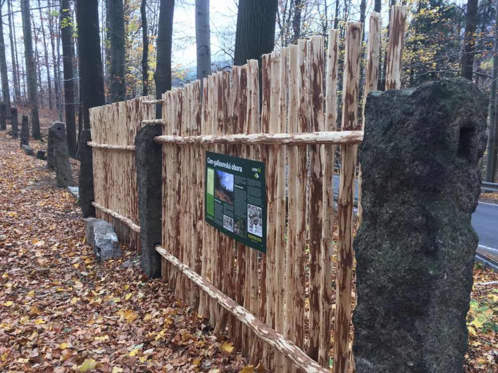 Stezka lemuje Clam-gallasovskou oboru