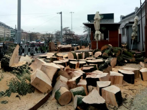 FOTO: Developer pokácel všechny stromy u hlavního nádraží v Brně