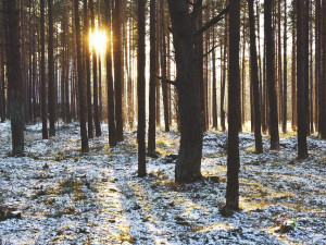 Na Silvestra bude nad nulou, ochlazení jako před 40 lety nepřijde