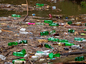 Řeka Kamenice zaplněná plasty.