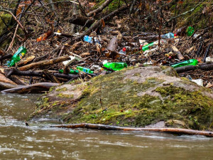 Řeka Kamenice zaplněná plasty.