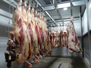 Polské maso z nemocných krav se dostalo i do České republiky