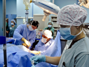 Odchodům lékařů má zabránit závazek zůstat až čtyři roky v Česku