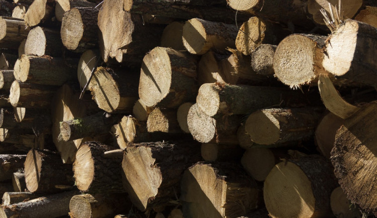 Někdo ukradl stromy, které pokácela vichřice. Vznikla škoda za patnáct tisíc