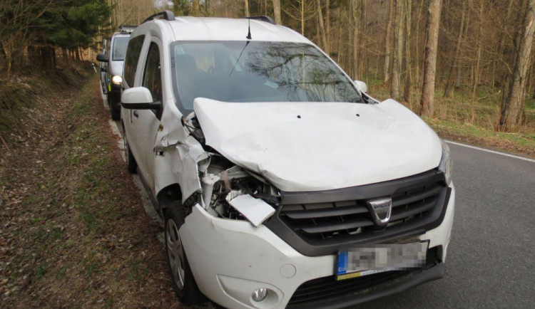 Přibývá střetů aut s lesní zvěří. Včera řidiči vběhla do cesty srna, na místě uhynula