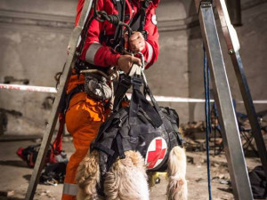 Pavel Málek a jeho parťák retrívr Charlie.