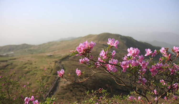 Ilustrační fotografie