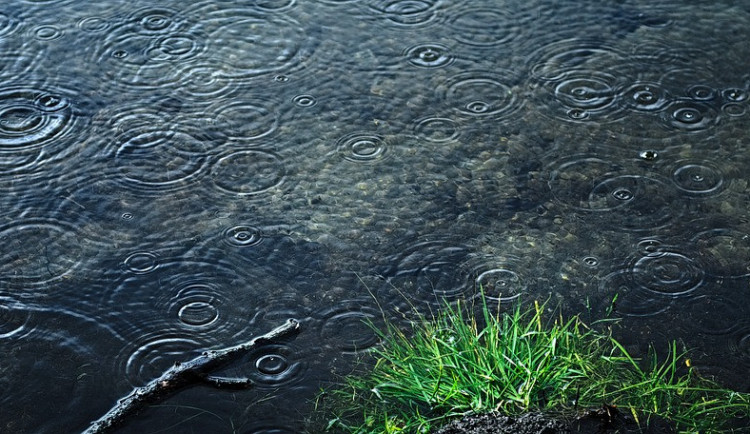 Ochladí se až příští víkend, kdy přijde místy vydatný déšť