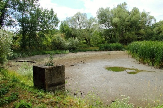 Čížovský malý rybník