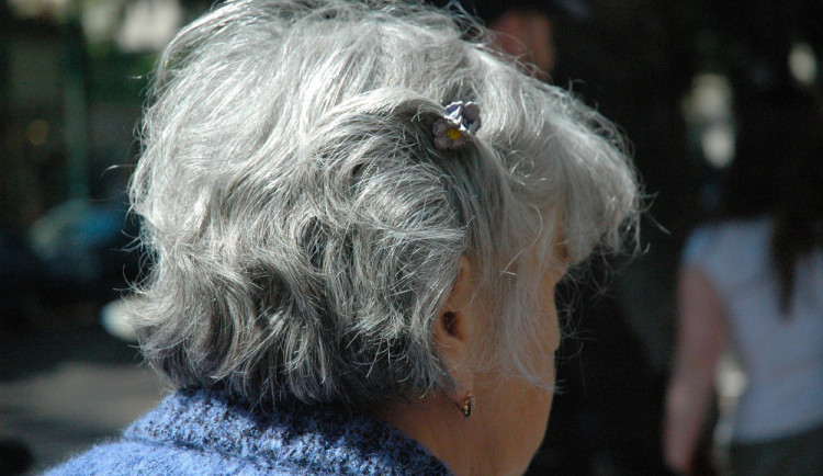 Olomoučtí strážníci pomohli zmatené ženě, která nevěděla, kde bydlí