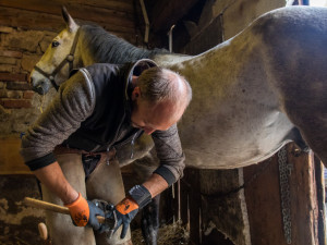 Míra Čemus, pětadvacet let je podkovářem. Měl nakročeno i na žokeje, ale neměnil by