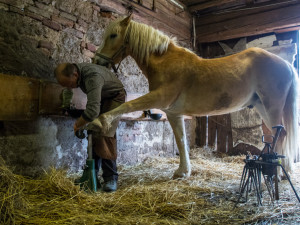 Míra Čemus, pětadvacet let je podkovářem. Měl nakročeno i na žokeje, ale neměnil by.