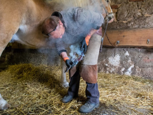 size4-15584715220853-103-img-3139