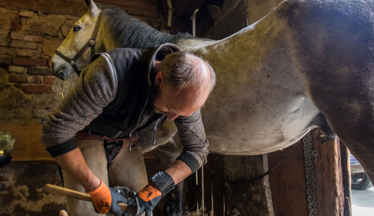 Míra Čemus, pětadvacet let je podkovářem. Měl nakročeno i na žokeje, ale neměnil by.