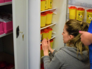 Den s terénními pracovnicemi: Je výhodnější vyměnit jehlu, než léčit žloutenku.