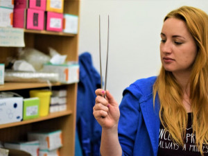 Den s terénními pracovnicemi: Je výhodnější vyměnit jehlu, než léčit žloutenku.