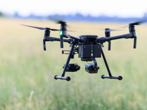 Ročně zemřou při sečení desítky tisíc srnčat. Dobrovolníci je zachraňují i pomocí dronů.