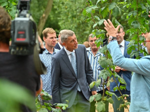 PRŮZKUM: Babiš zůstává nejoblíbenější, jeho popularita ale oslabuje