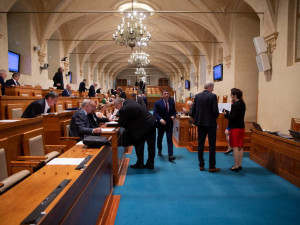 Horní komora obvinila vládu z pohrdání Senátem kvůli auditům Evropské komise