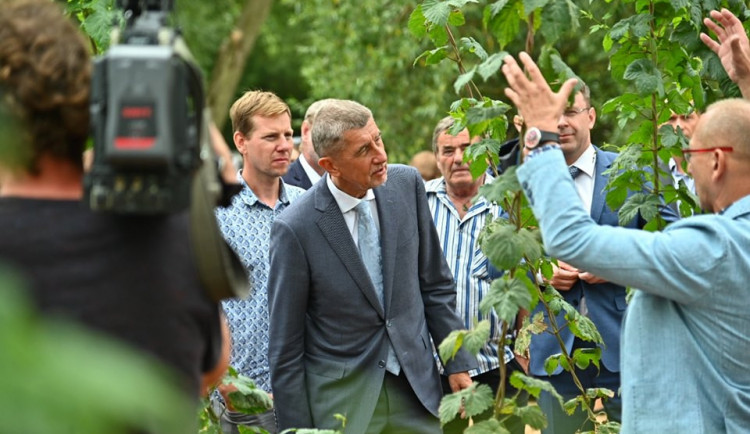 ilustrační foto, Andrej Babiš.