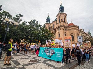 Kočka, pes i kráva, mají svoje práva! Volali lidé v rámci pochodu za práva zvířat.