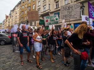 Kočka, pes i kráva, mají svoje práva! Volali lidé v rámci pochodu za práva zvířat.
