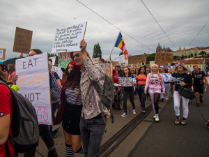 Kočka, pes i kráva, mají svoje práva! Volali lidé v rámci pochodu za práva zvířat.