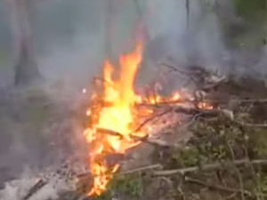 VIDEO: Na Sibiři hasiči dál bojují s plameny, většinu však nechávají být