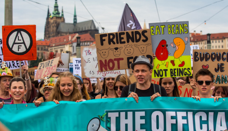 Kočka, pes i kráva, mají svoje práva! Volali lidé v rámci pochodu za práva zvířat.