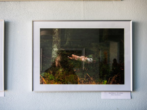 Průstřel žebra i oběšenec za ranního úsvitu, policie vystavuje fotky z místa činu.