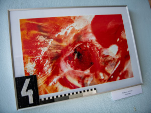 Průstřel žebra i oběšenec za ranního úsvitu, policie vystavuje fotky z místa činu.