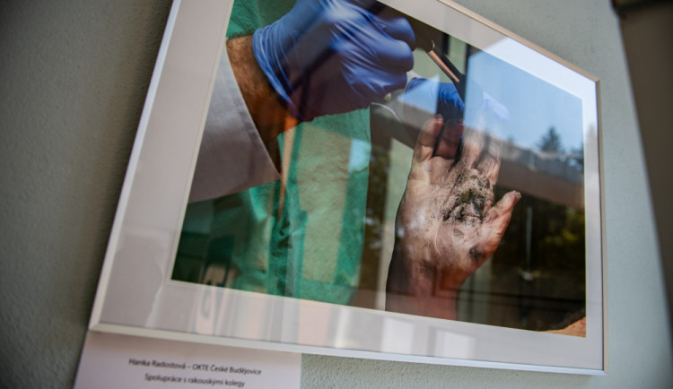 Průstřel žebra i oběšenec za ranního úsvitu, policie vystavuje fotky z místa činu.