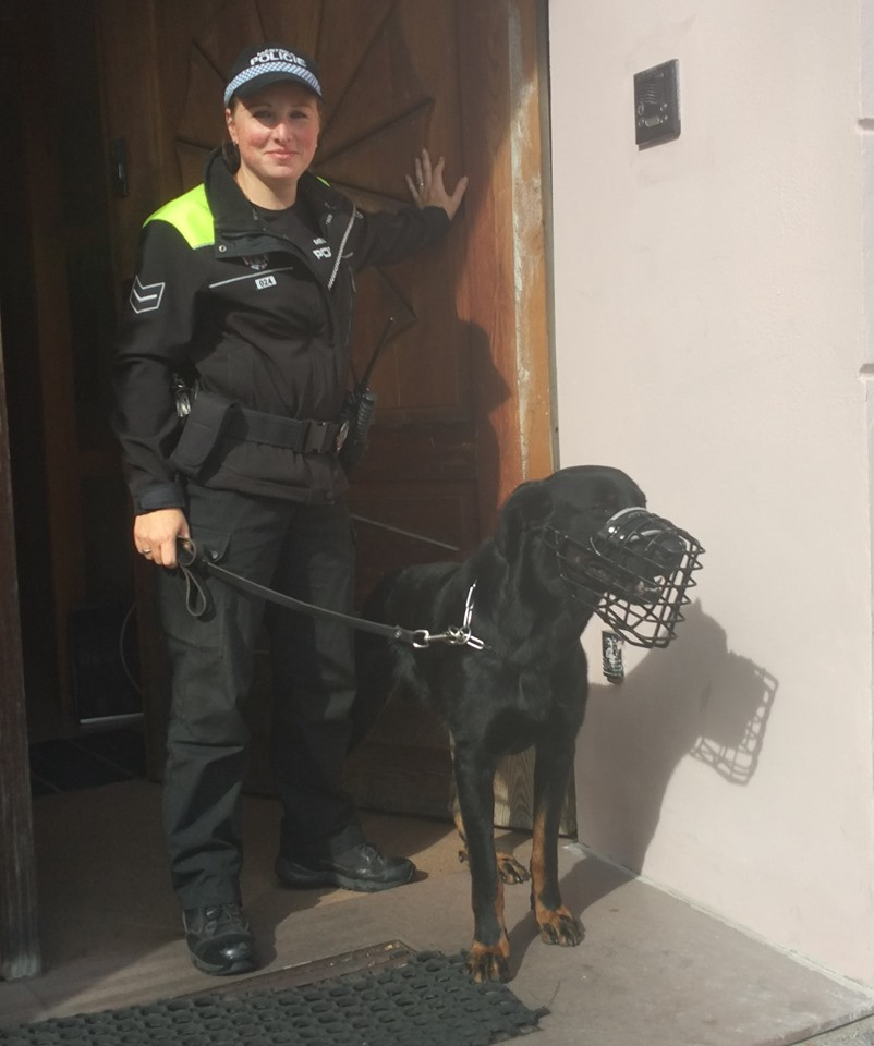 Městská policie Česká Lípa má nového pomocníka, čtyřnohého Lancelota.