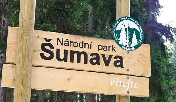 Národní park Šumava se kvůli ceně dřeva dostal do finančních potíží