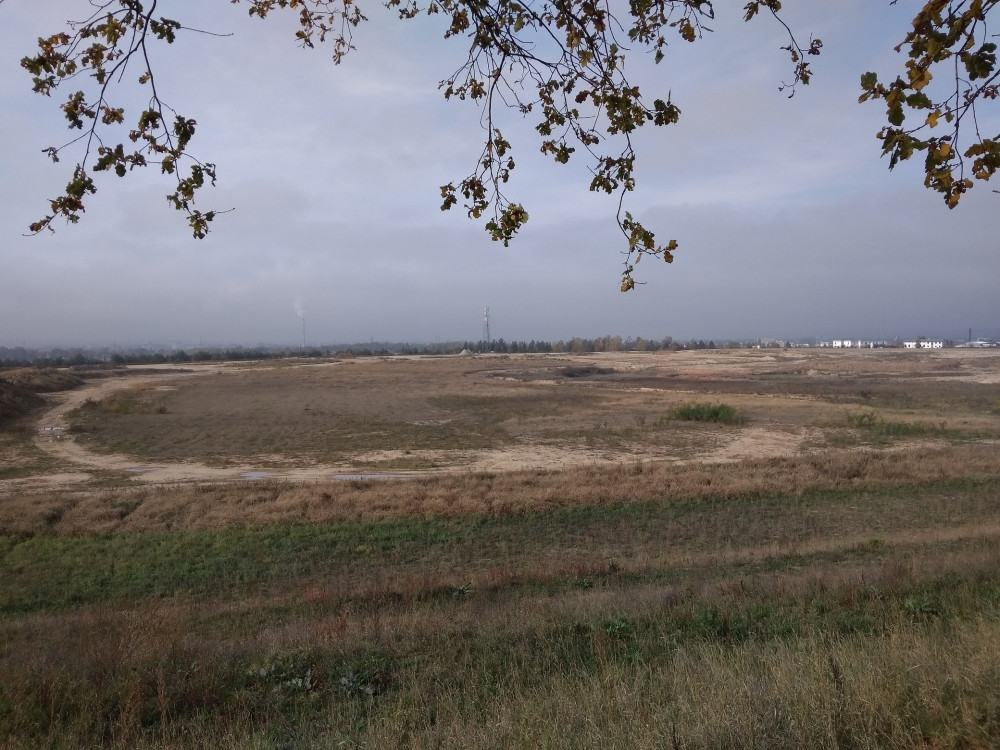 Bývalé odkaliště se promění v lesopark.