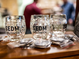 Představení Sedmi spolčených.