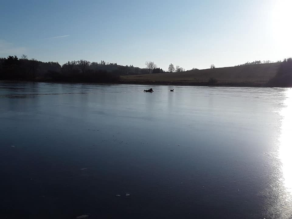 80674876_2685293884857047_4497160552270790656_n