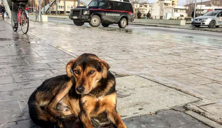 DRBNA NA CESTÁCH: Mitrovica - město rozdělené mostem i národní hrdostí