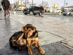 DRBNA NA CESTÁCH: Mitrovica - město rozdělené mostem i národní hrdostí