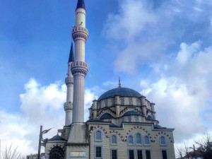 Mitrovica.