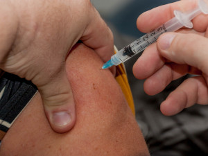 PRŮZKUM: Proti encefalitidě bylo očkováno loni 29 procent Čechů
