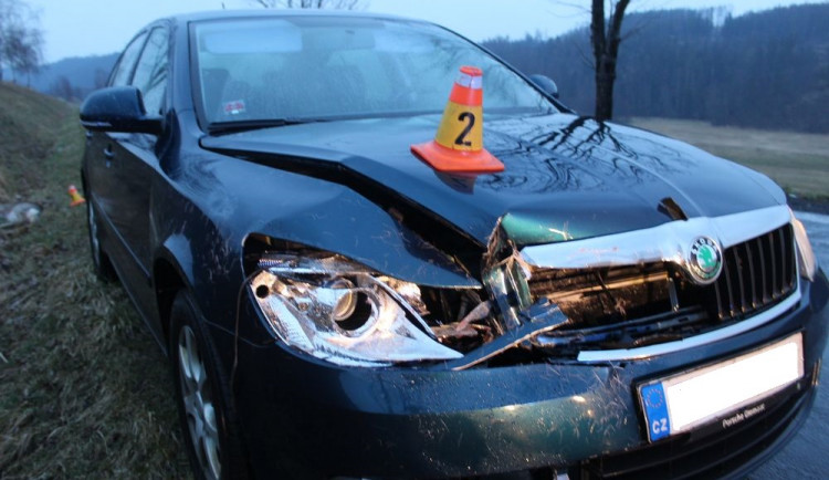 Řidiči do cesty vběhlo stádo srn. Na místě uhynuly dvě srny