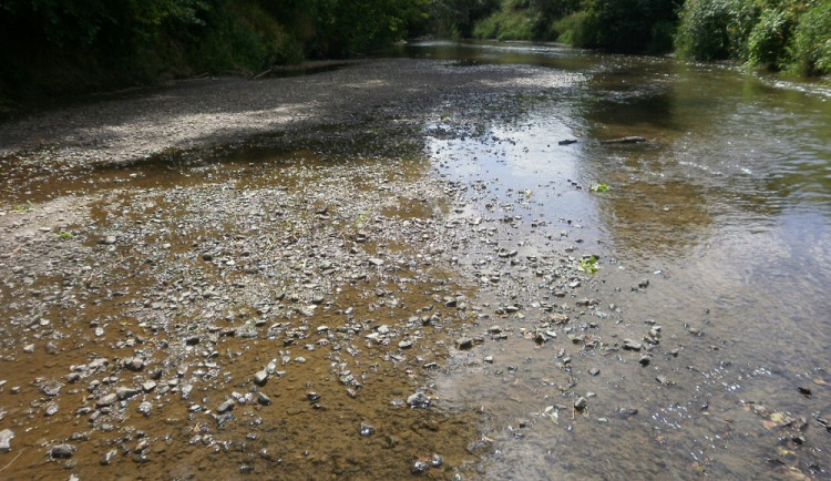Řeky na jižní Moravě mají kriticky málo vody, někde jsou na pouhé desetině běžného stavu