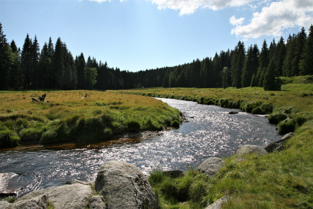 Šumavská krajina nedaleko od Modravy