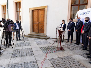 Senát chce od vlády údaje o nákupu prostředků proti koronaviru